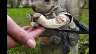 So I'm A Squirrel - Foamy The Squirrel (This is for you, Velouria!)