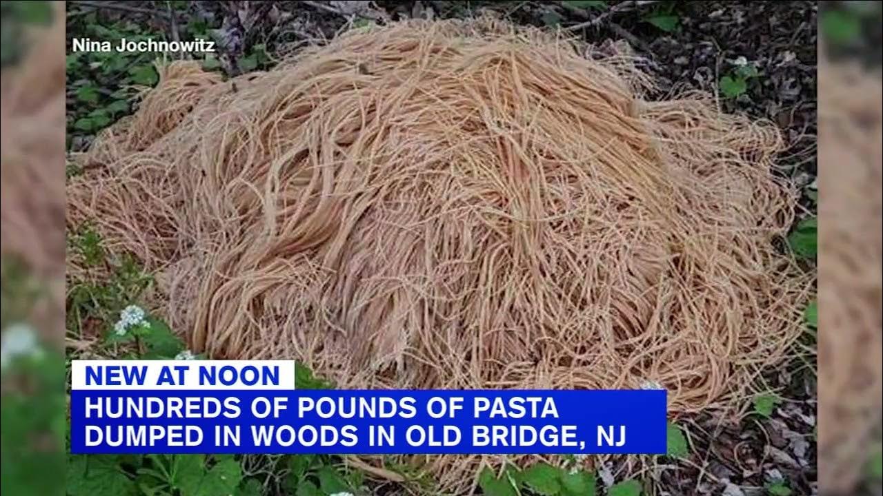Hundreds of pounds of pasta dumped near New Jersey stream