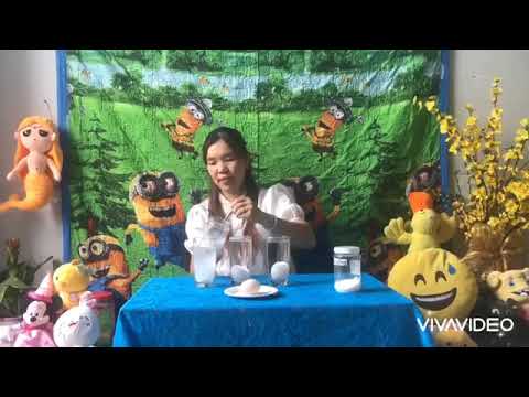 Khám phá thử nghiệm: Trứng chìm - trứng nổi