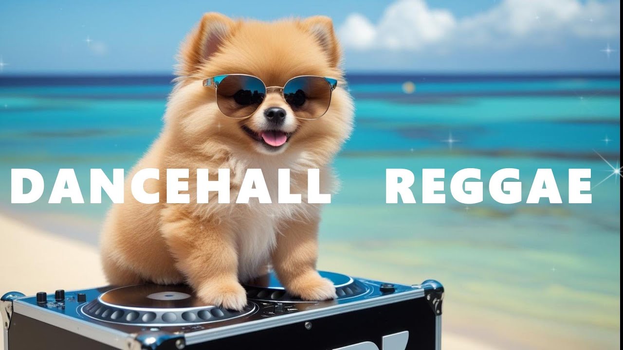 Dancehall Reggae  気分が上がるダンスホール レゲエBGM