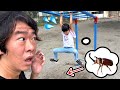 うんていしてたらカブトムシ⁉️落ちたら潰しちゃうし気をつけて〜〜〜😭💦【寸劇】