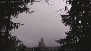 20211222 South Eugene, OR