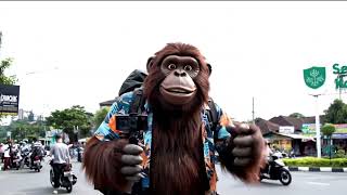 Bigfoot Siap Merantau Ke Palangka Raya Cari Gawean 