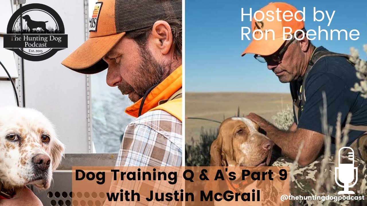 Dog Training Q&A with Justin McGrail Part Nine