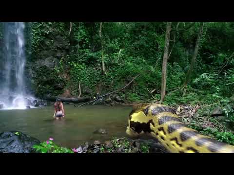 Snake Movie SCARY Scene   Must Watch mp4