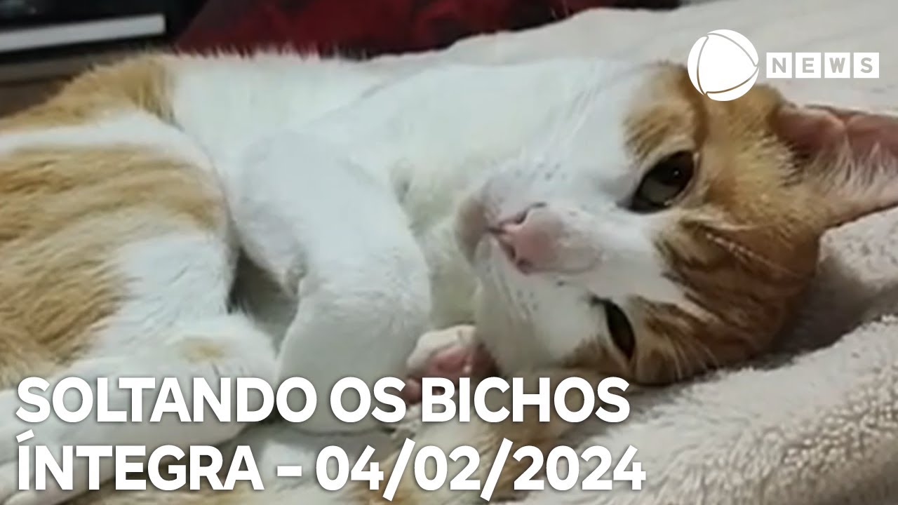 Soltando os Bichos – 04/02/2024