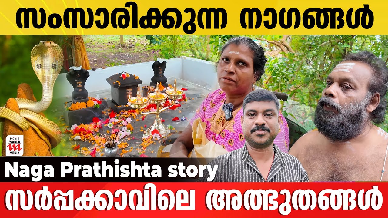 മാറാ രോഗങ്ങൾക്കും പ്രശ്നങ്ങൾക്കും പരിഹാരം ചെയ്യുന്ന നാഗ പ്രതിഷ്ഠ | Snake Story
