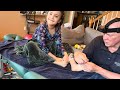 Raynor Massage Für Kinder Naturheilpraktiker Brandon Raynor Massiert Seine Tochter Ellie Raynor Massage Für Kinder Naturheilpraktiker Brandon Raynor Massiert Seine Tochter Ellie