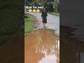 lala la #shorts #shortvideos#shortscreator #youtubeshort #shortscontact #trendingshorts #viralvideos