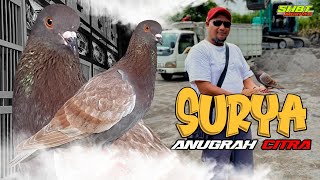 SURYA - ANUGRAH CITRA THE CHAMPION OF THE 1 BILLION MIHAMA CUP EVENT