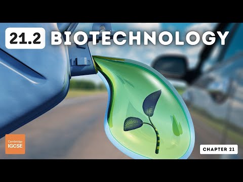 IGCSE Biology - Biotechnology (21.2)