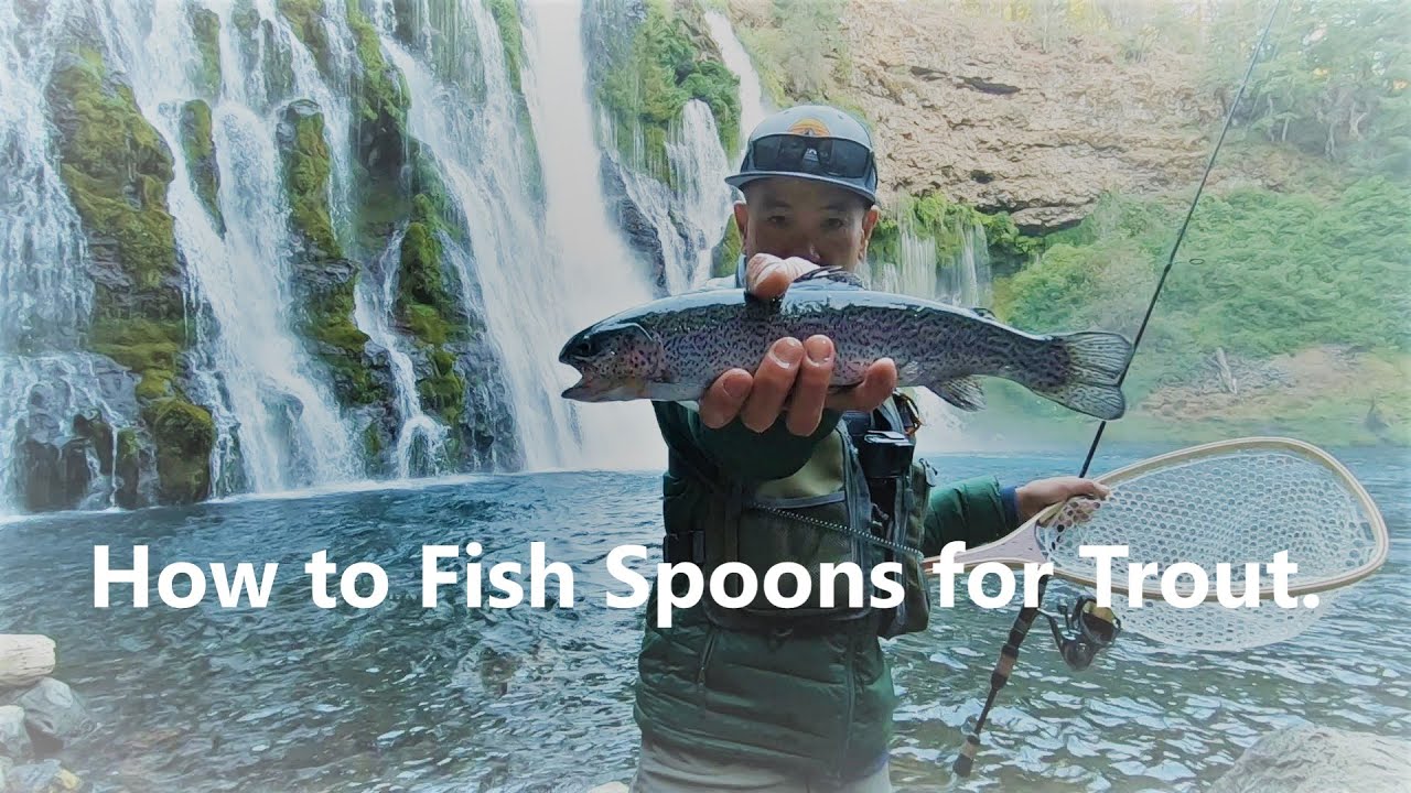 How to Fish Spoons for Trout. 