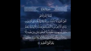 سوره الكافرون الشيخ ياسر الدوسري |surah al kaferon by yasir al dosary