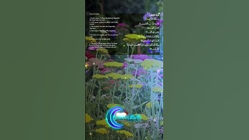 سُورَةُ الفَاتِحَة – بصوت القارئ فتحي الكردي