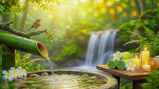 Relaxation Music: Bamboo Water Fountain + Healing Piano Sleep Music, Meditation and Nature Sound