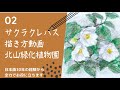 サクラクレパスで描く白椿