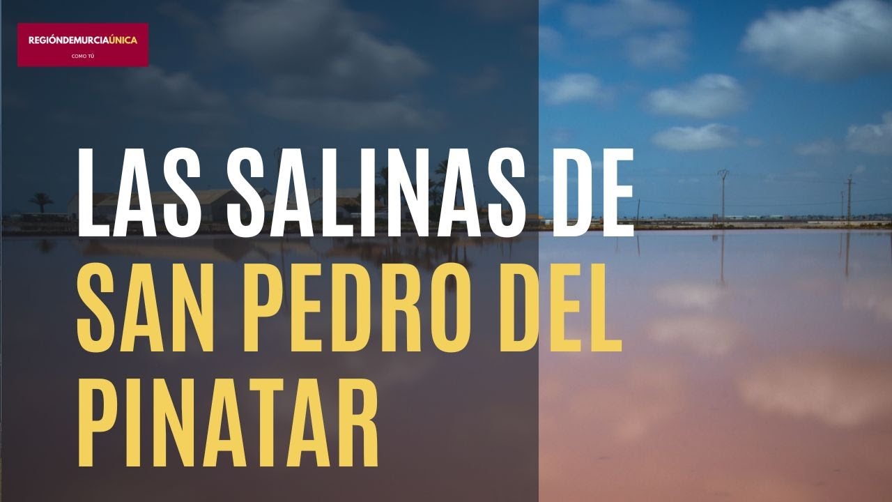 Descubre las Salinas de San Pedro del Pinatar