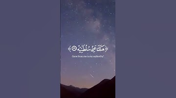 يا ليتها كانت القاضية || يوتيوب #ياسر_الدوسري - سورة الحاقة #قرآن #يارب #قران_كريم