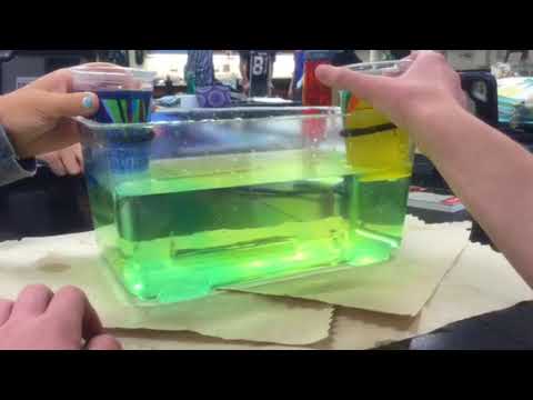 Salinity Lab day 1