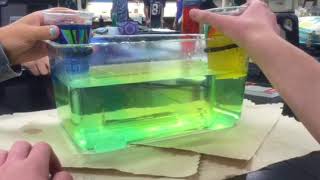 Salinity Lab day 1