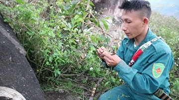 Chú Cháu Đi Bẫy Chuột Rừng Và Thăm Bẫy Tập 1