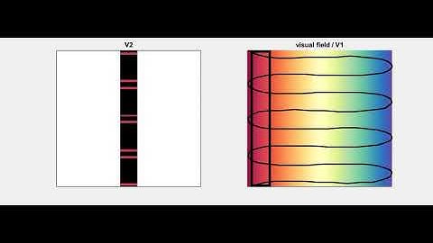 Movie S3. Sinusoidal transform of visual field in V2 - activation produced by bars in visual field