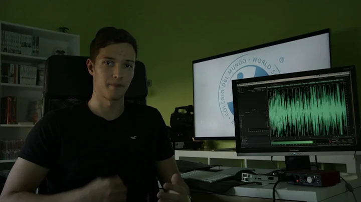 What is the Middle Year Programme?