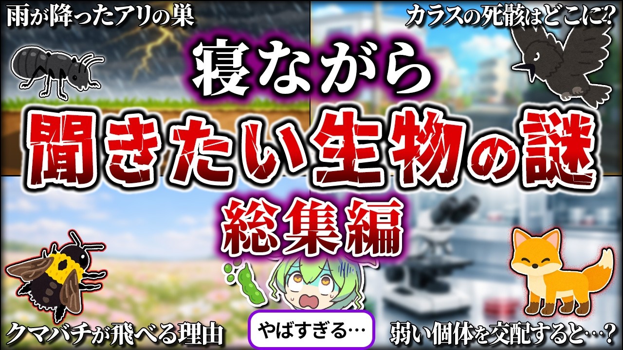 【総集編】眠れなくなるほど面白い生物の謎