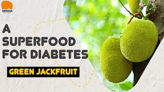 Green Jackfruit - A Superfood For Diabetes