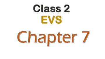 Class 2 EVS _ Chapter 7