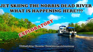 Jet Ski the Norris Dead River to De Leon Springs off the St Johns River on Yamaha WaveRunners screenshot 5