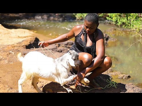 How an African village girl prepared goat for meal