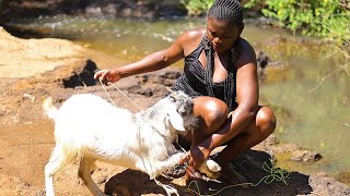 How An African Village Girl Prepared Goat For Meal