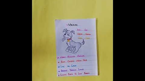 Zoom Science online class summary lecture PMS Boys II (3.06.2021)