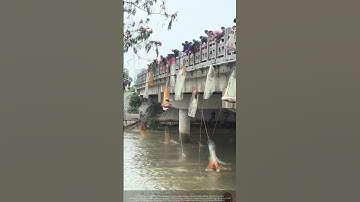 🌧️ Flood Net Fishing WISDOM : Where BIG Fish Gather After Storms