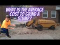 What is the average cost to grind a stump