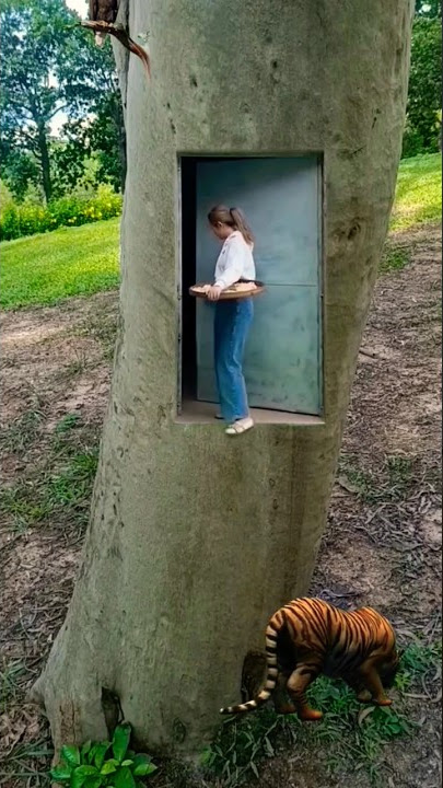 Funny Tiger Video #shorts chintu tv
