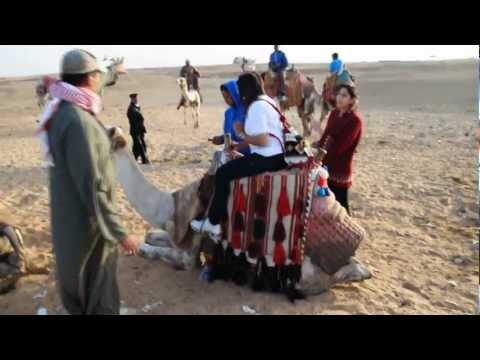 Camel Ride @ Great Pyramids, Cairo, Egypt - 7 Wonders of the World