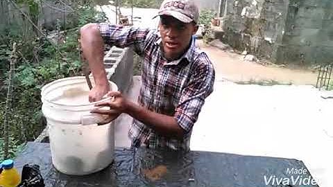 Formula 2 fish feed production PART 3 (Mixture)