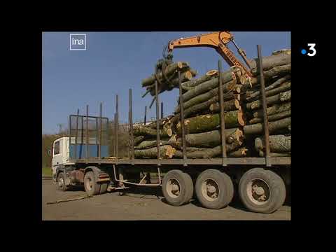 Restauration de la gare pour le transport du bois de Châtillon sur Seine, reportage du 22 mars 2000