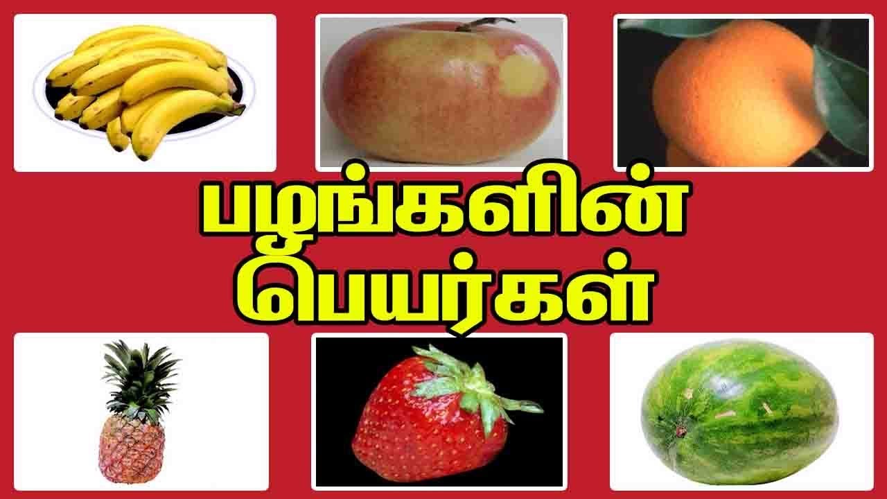 பழங்களின் பெயர்கள் - Names of fruits | Preschool Education ... பழங்களின் பெயர்கள் - Names of fruits | Preschool Education ...