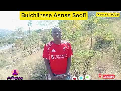 Bulchiinsaa Aanaa Soofi Dulaa Biqiltuu Bishaan Obasuu