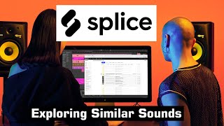 Exploring one-shot drum sounds with the Similar Sound feature on Splice