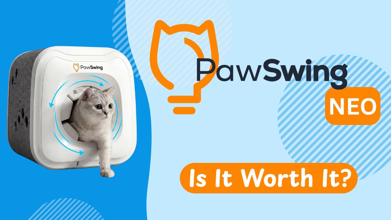 Review: PawSwing Neo - YouTube