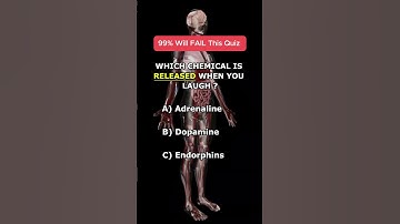 QUIZZ TIME🧠#facts #triviatricks #brainteaser #quiz