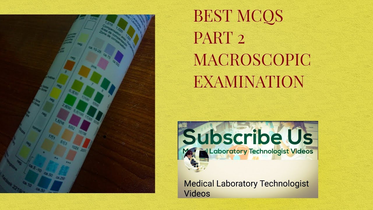 Urinalysis Best Mcqs Part 2 ( Microscopic Examination) YouTube Urinalysis Best Mcqs Part 2 ( Microscopic Examination) YouTube