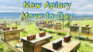 Hover Yard Gets Its First Bees 🐝 Nuc-to-Hive Transfers & Bee Talk with my friend Andy !