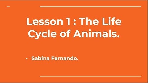 Lesson 1: The Life Cycle of Animals | EVS I (Class 4)