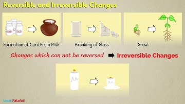 Changes Around Us Class 6 Science - Reversible and Irreversible Changes