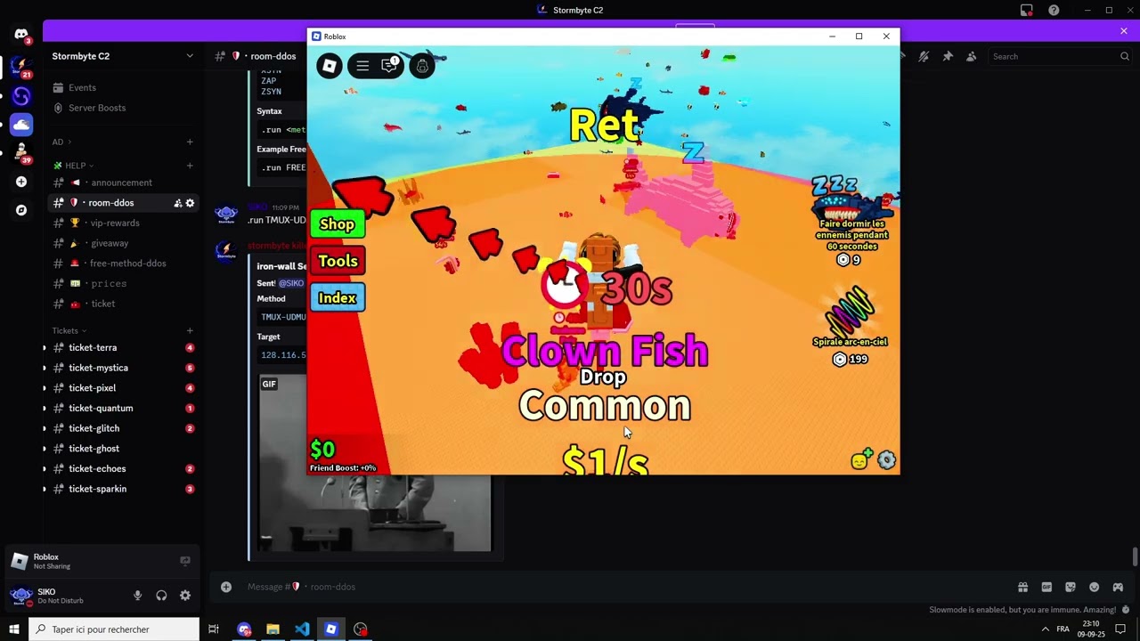 Ddos Attack Server roblox protected server